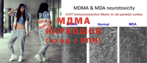 apvp Белокуриха