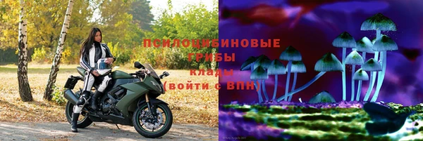 первитин Бородино