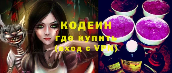 индика Аша