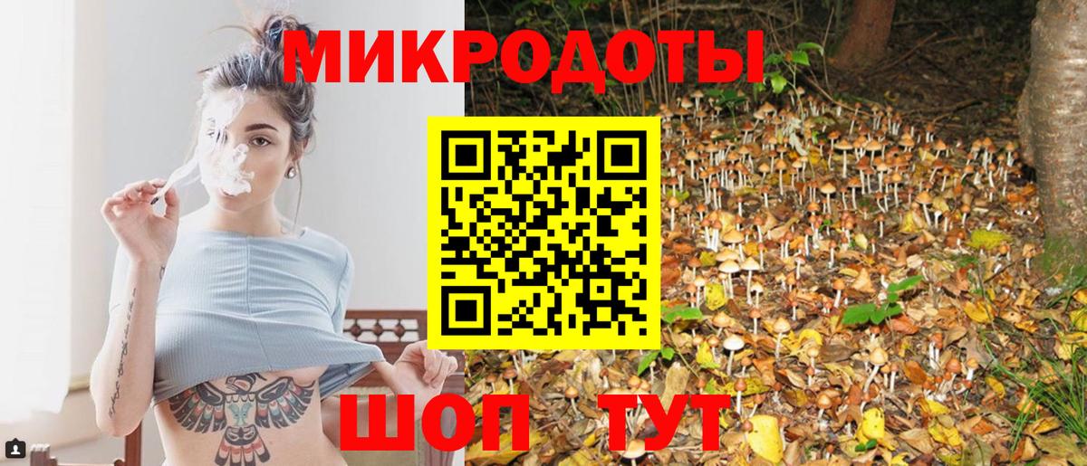 Галлюциногенные грибы Psilocybine cubensis  Верхняя Пышма 