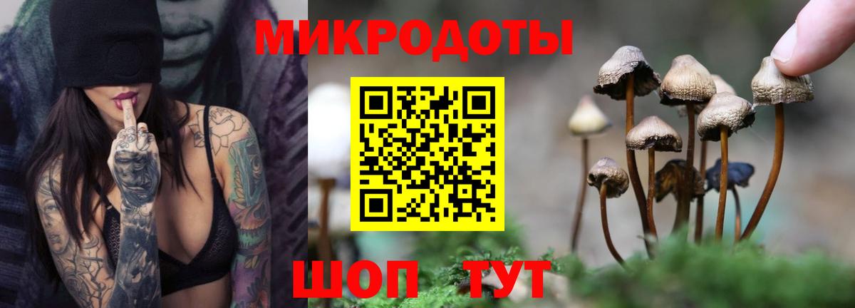 Галлюциногенные грибы GOLDEN TEACHER  Галлюциногенные грибы ЛСД  Вход с VPN  Верхняя Пышма 