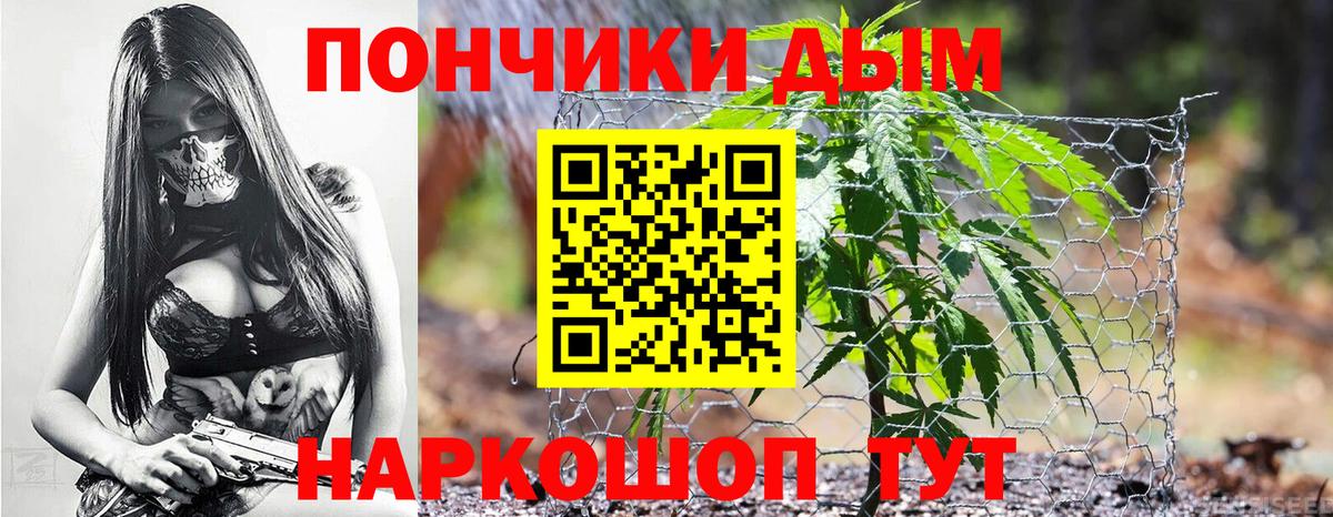 Конопля сатива  Бошки Шишки сатива  Верхняя Пышма  Вход с VPN 